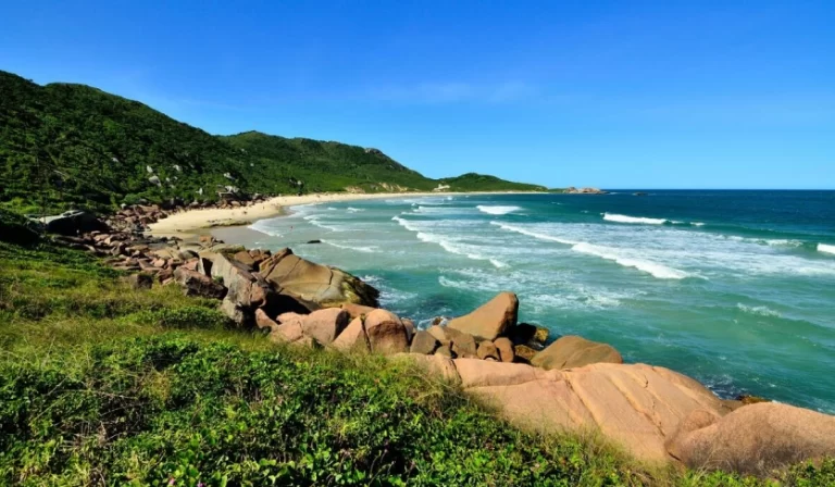 Praias de Santa Catarina: Conheça os destinos mais incríveis do sul do Brasil | Rorato Indica